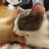 Taddy K. (with SoHo)