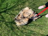 Daisy **NO MORE APPLICATIONS**