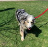 Daisy **NO MORE APPLICATIONS**