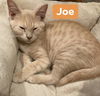 Jack and Joe