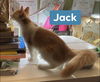 Jack and Joe