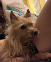 Romeo**NO MORE APPS**