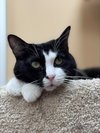 Isabella - Photo 1