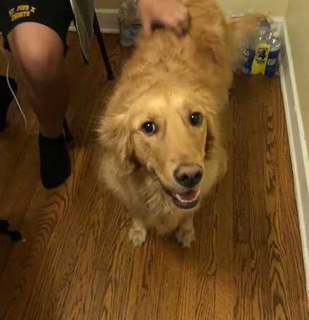 Bailey