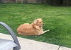 Bailey