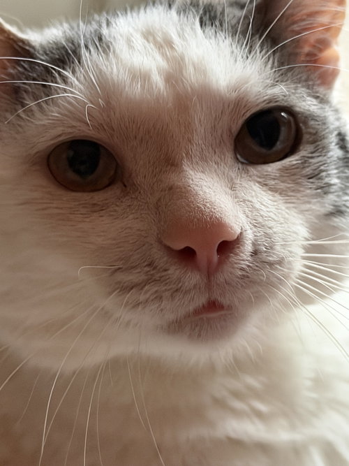 Photo 3 of Ralphie