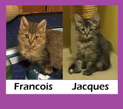 Jacques and Francois