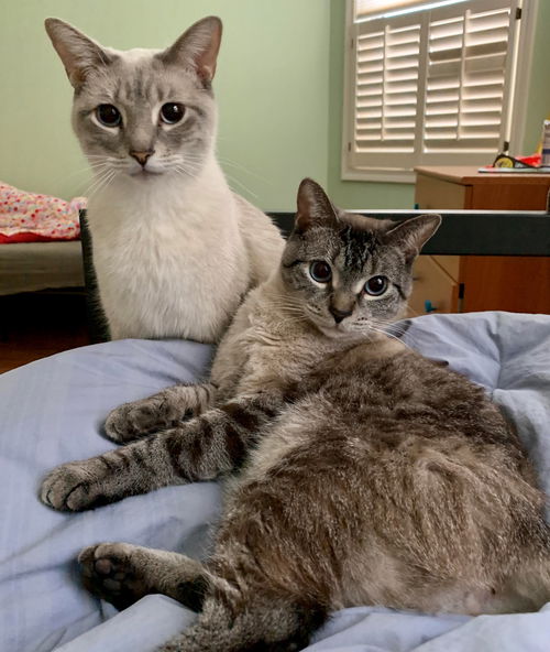 Daisy and Missy