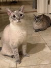 Daisy and Missy