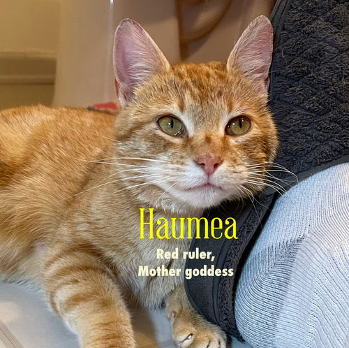 Haumea