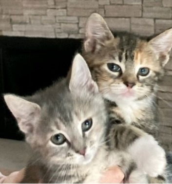 Daisy & Izzy