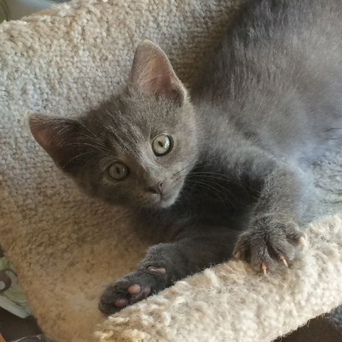 Fiona