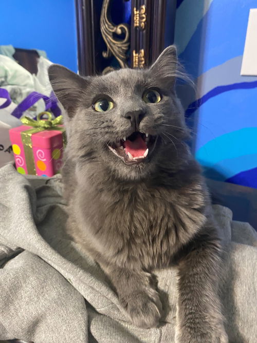 Nimbus