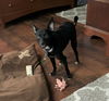 Finley