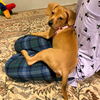 Isadora**NO MORE APPS**