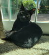 Wendell **Tripod**