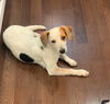 Banjo**NO MORE APPS**