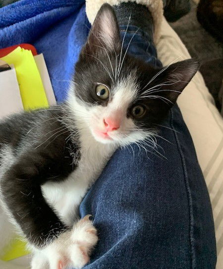 Niles