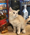 Johnnie Walker