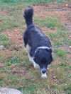Jackson