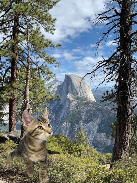 Yosemite