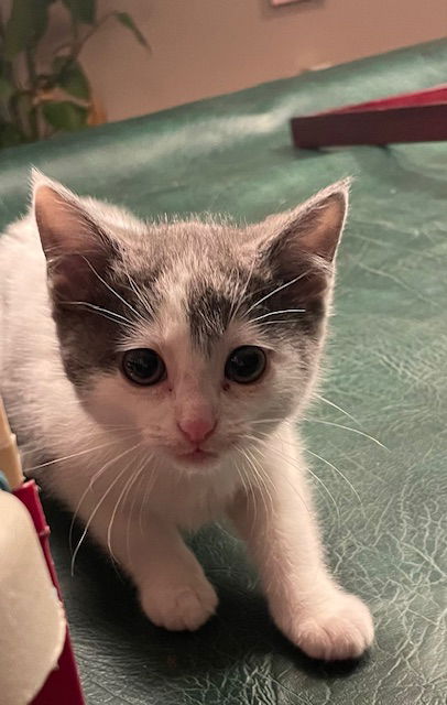 Fiona (on Frank's profile)