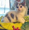 Fiona (on Frank's profile)