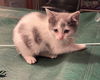 Fiona (on Frank's profile)