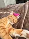 Sleepy