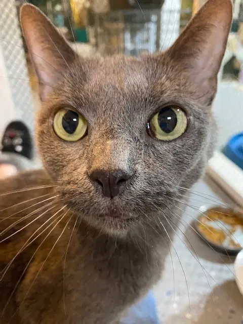 Gabby image 4