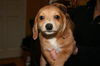 Hansel