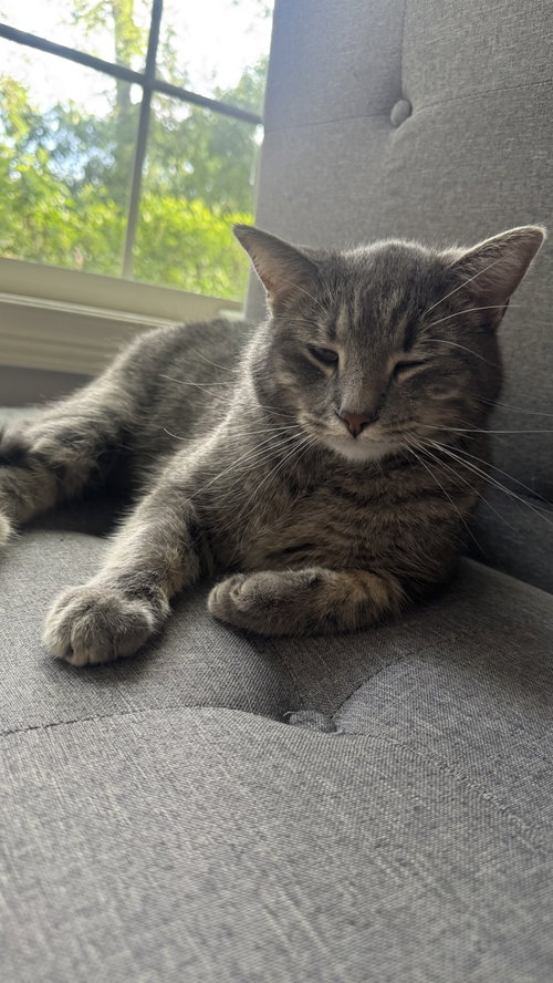 Photo 6 of Ryker