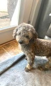 Claude - Photo 3