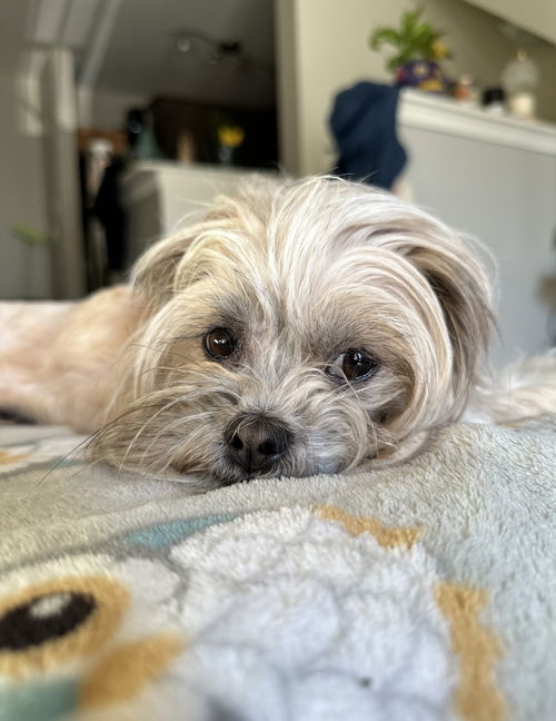 Daisy Mae