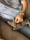 Itsy