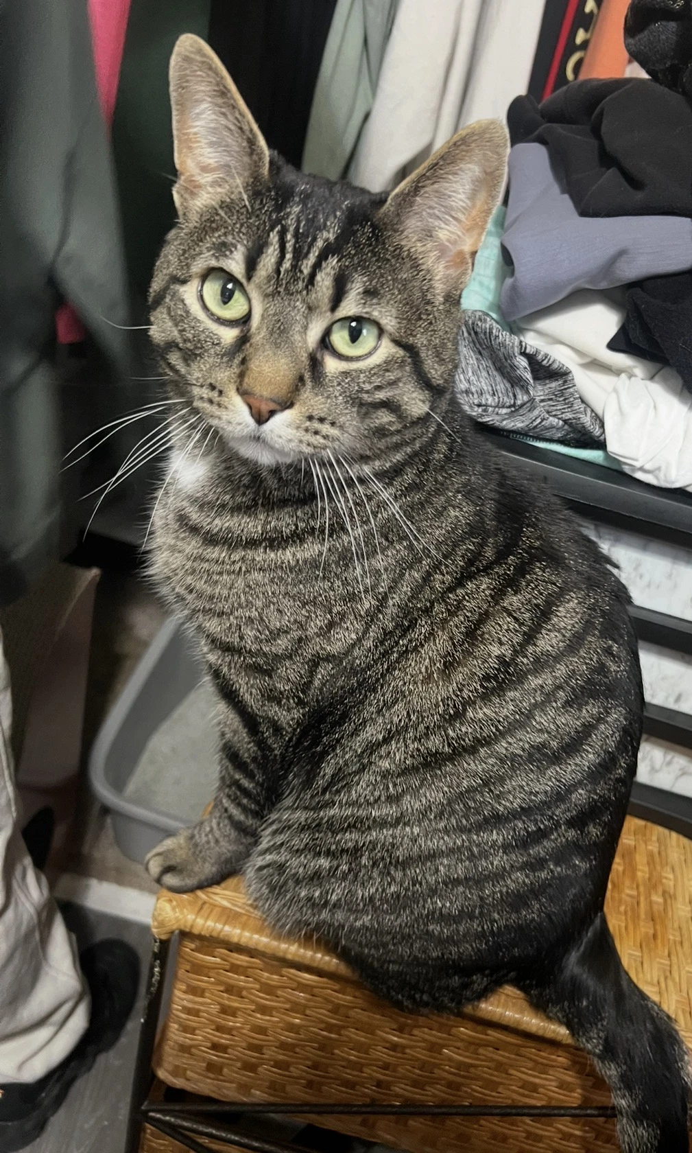 Roberto