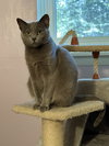 Dusty - Photo 1