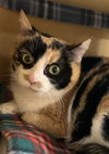 Mimi