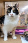 Mimi