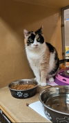 Mimi