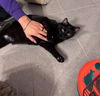 Star & Dory (**bonded pair)