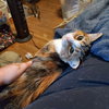 Willow - Photo 2