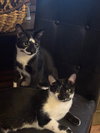Uh-Oh Spaghetti-O & Fe Fi Fo Fum (bonded) - Photo 1