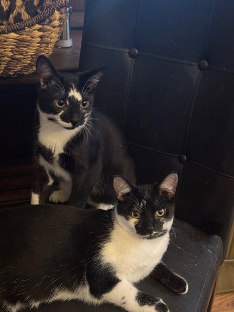 Uh-Oh Spaghetti-O & Fe Fi Fo Fum (bonded)