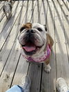 Eloise