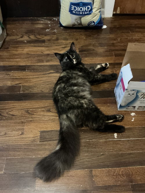 Sophie