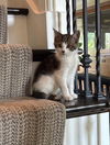 Wilbur