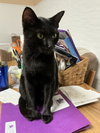 Swiper - Photo 2