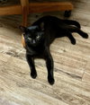 Swiper - Photo 3