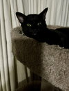 Swiper - Photo 4